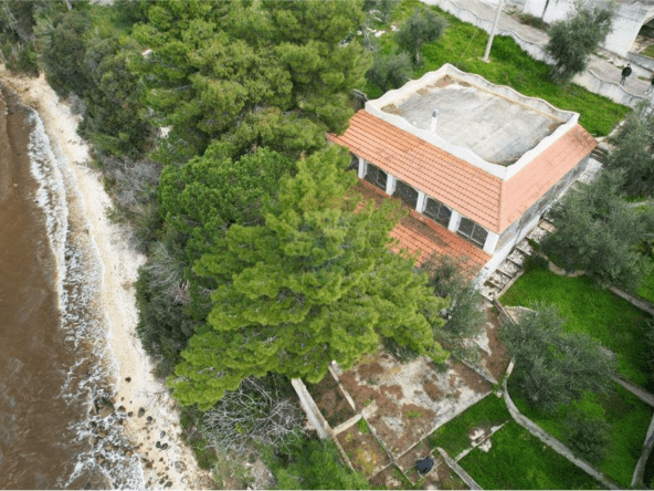 ischitella property